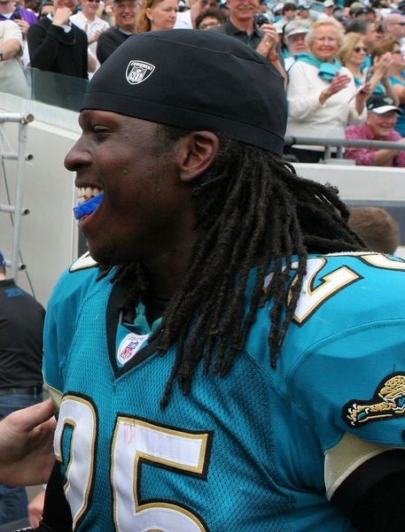 Reggie Nelson in the NFL