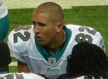 Brian Hartline in the NFL