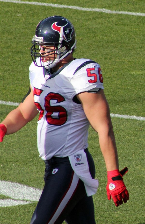 Brian Cushing in the NFL