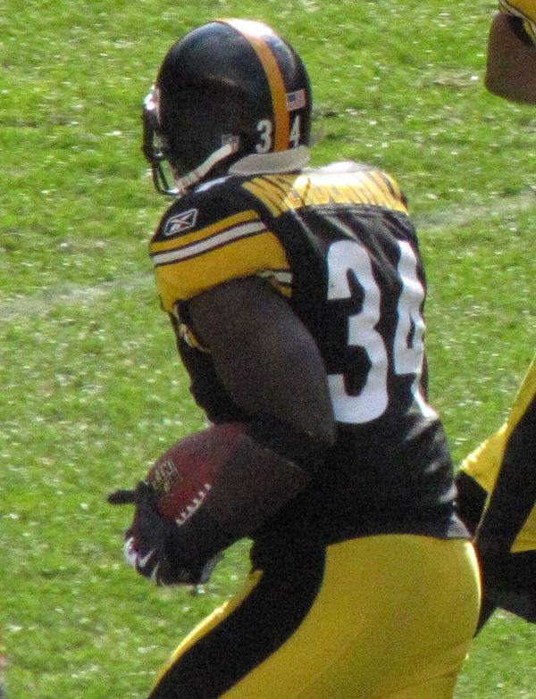 Rashard Mendenhall in the NFL