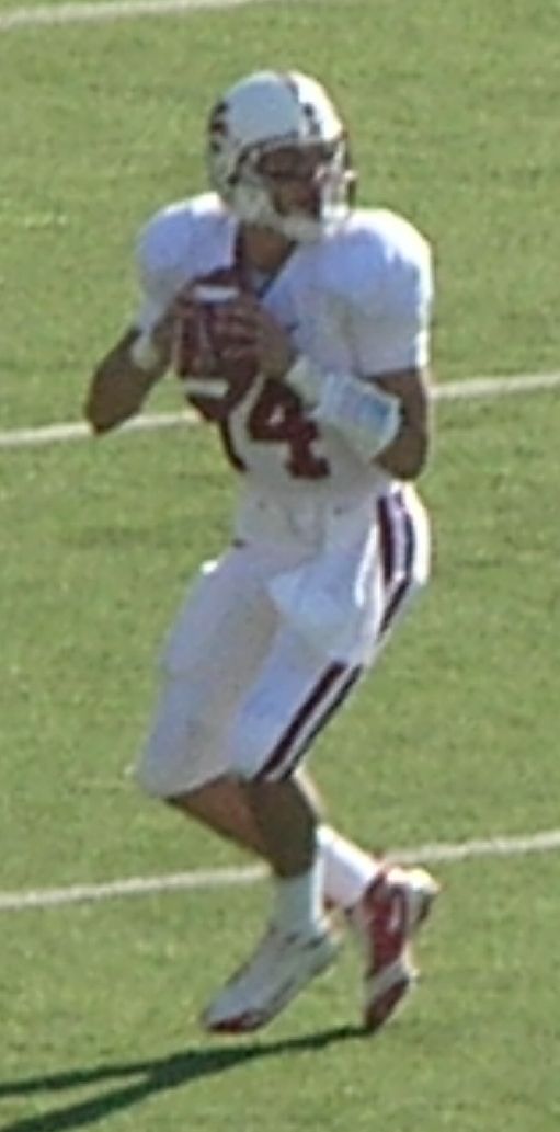 Tavita Pritchard, 2008