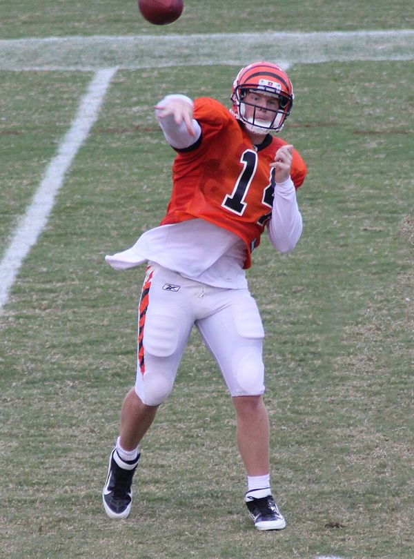 Andy Dalton in the NFL