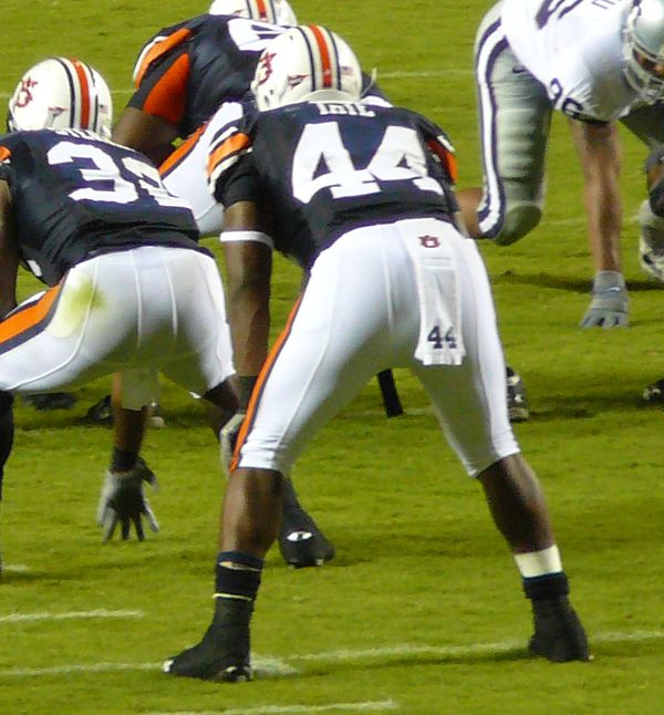 Ben Tate in the NFL
