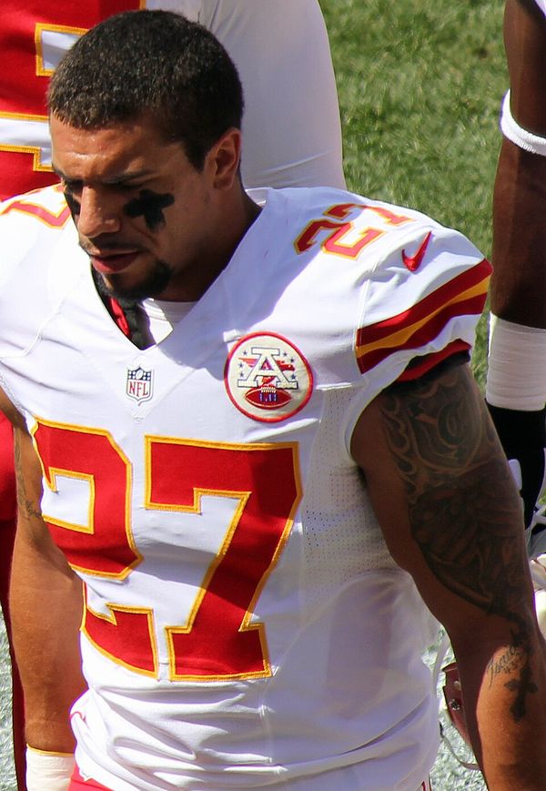 Kurt Coleman in the NFL