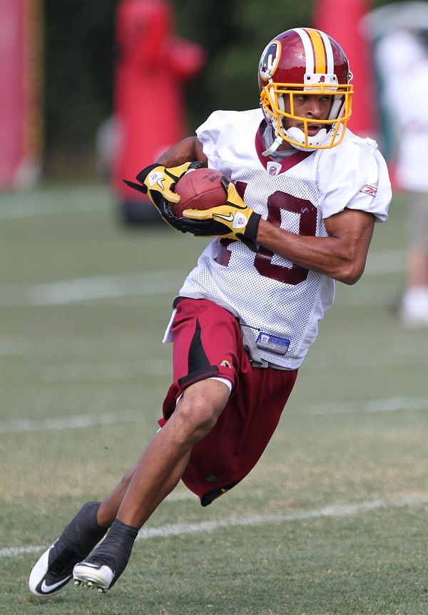 Terrence Austin in the NFL