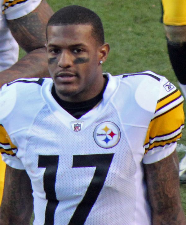 Mike Wallace in the NFL