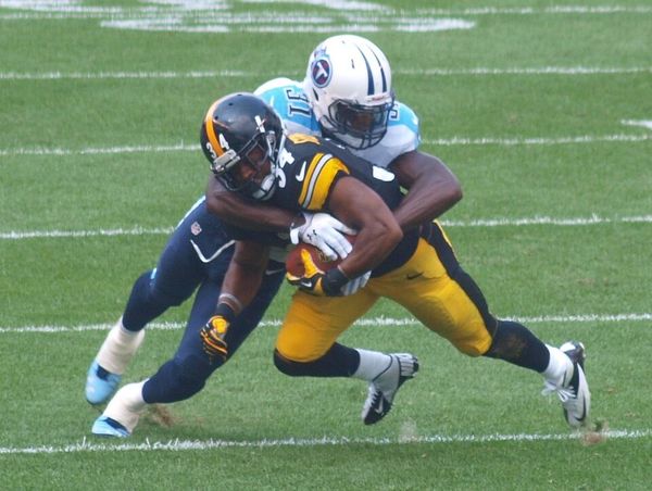LaRod Stephens-Howling in the NFL