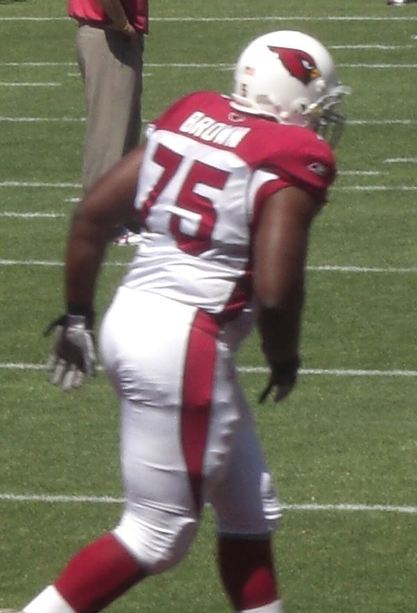 Levi Brown in the NFL