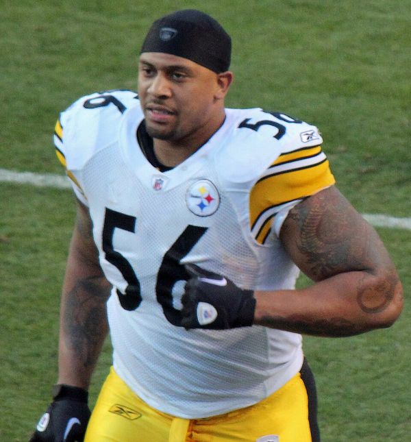 LaMarr Woodley in the NFL