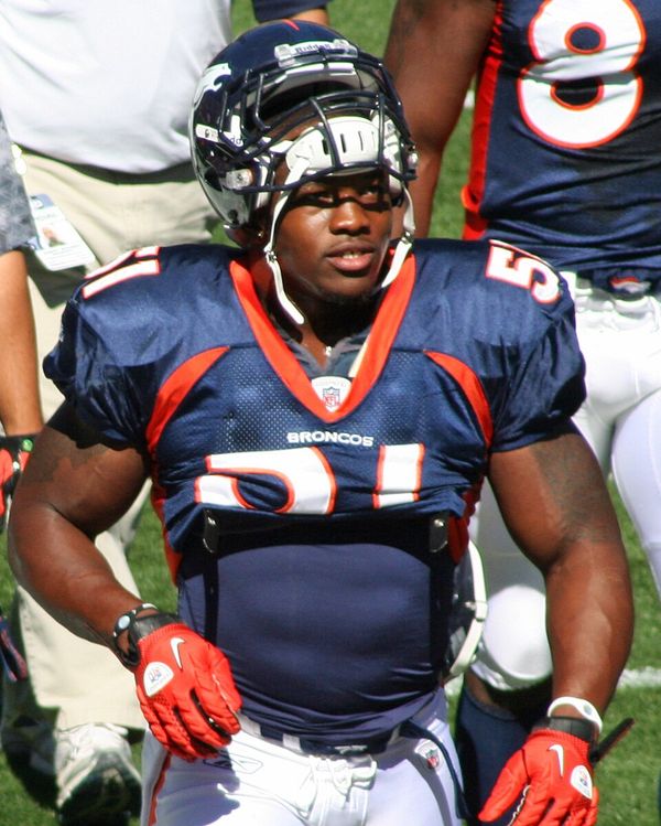 Joe Mays in the NFL