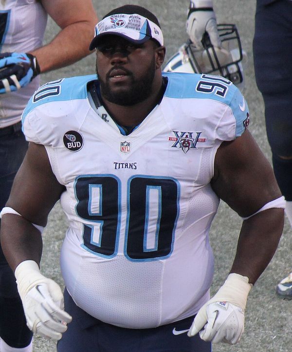 Antonio Johnson in the NFL