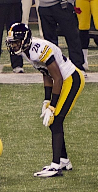 Cortez Allen in the NFL