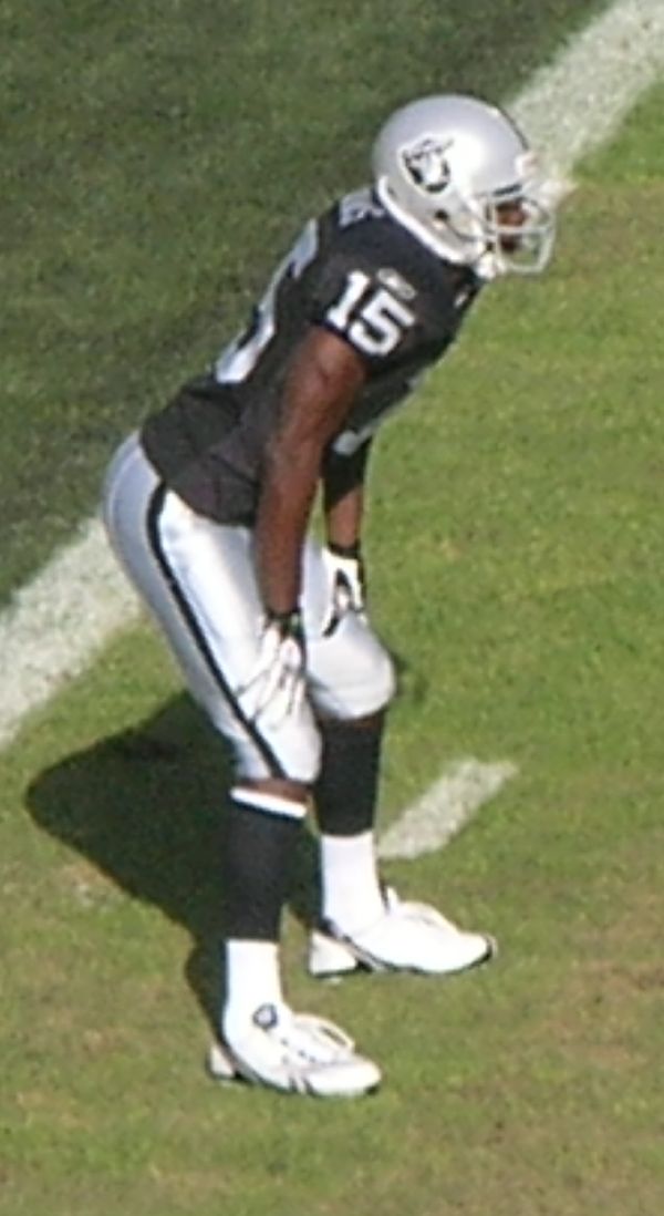 Johnnie Lee Higgins in the NFL