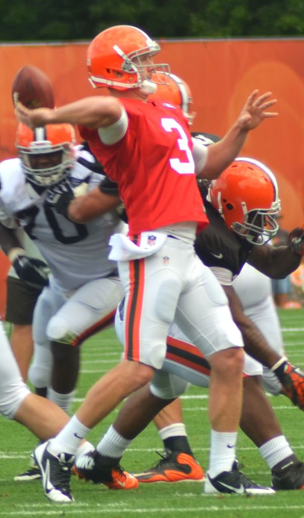 Brandon Weeden in the NFL