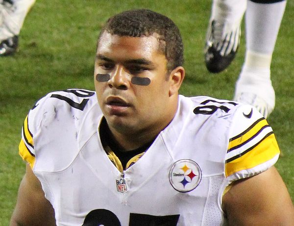 Cameron Heyward in the NFL