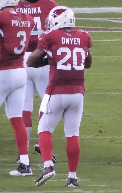 Jonathan Dwyer in the NFL
