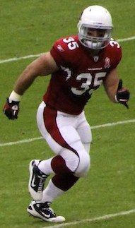 Anthony Sherman in the NFL