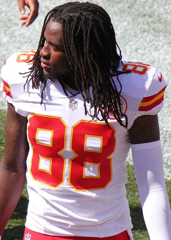 Junior Hemingway in the NFL