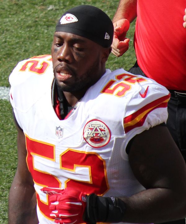 James-Michael Johnson in the NFL