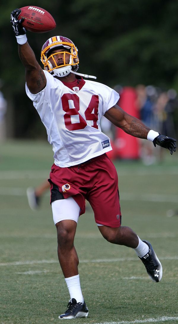Niles Paul in the NFL