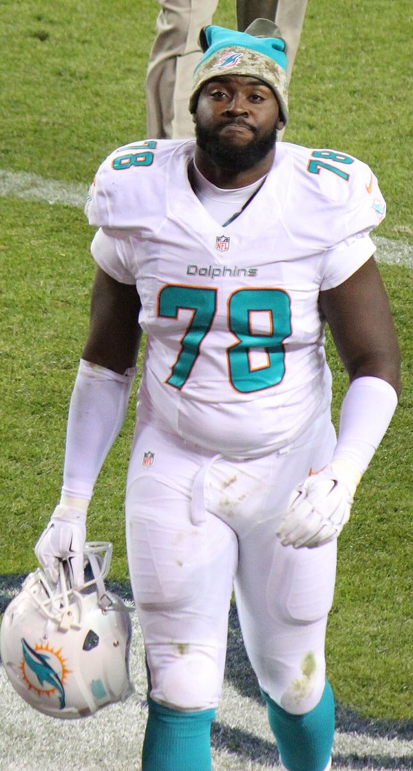 Terrence Fede in the NFL