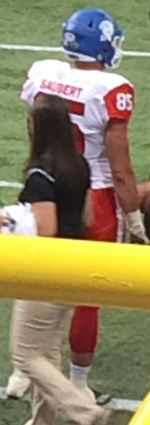 Eric Saubert in the NFL