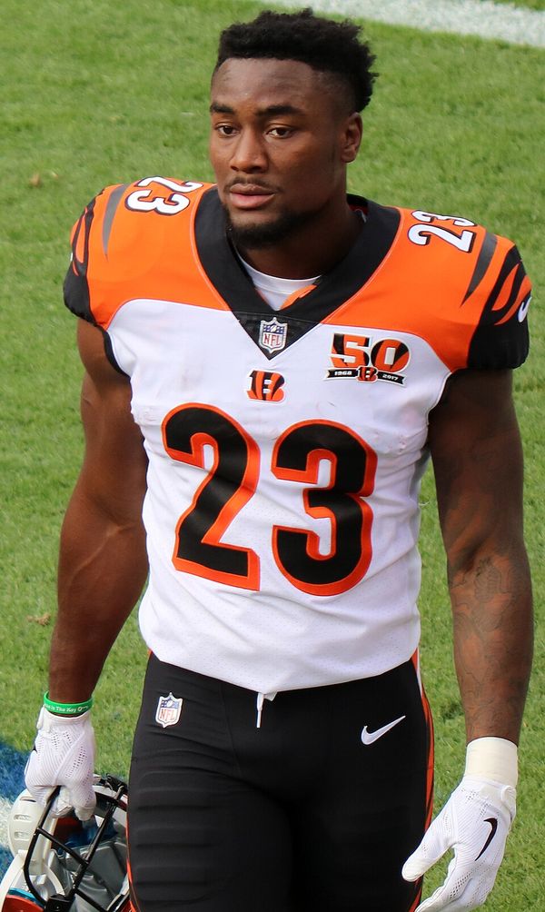 Brian Hill in the NFL
