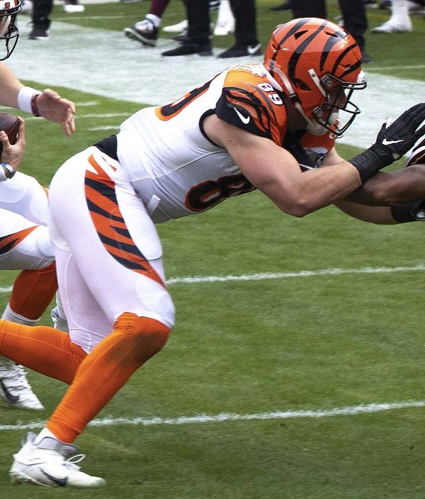 Drew Sample in the NFL