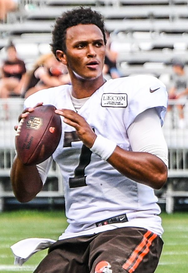 DeShone Kizer in the NFL