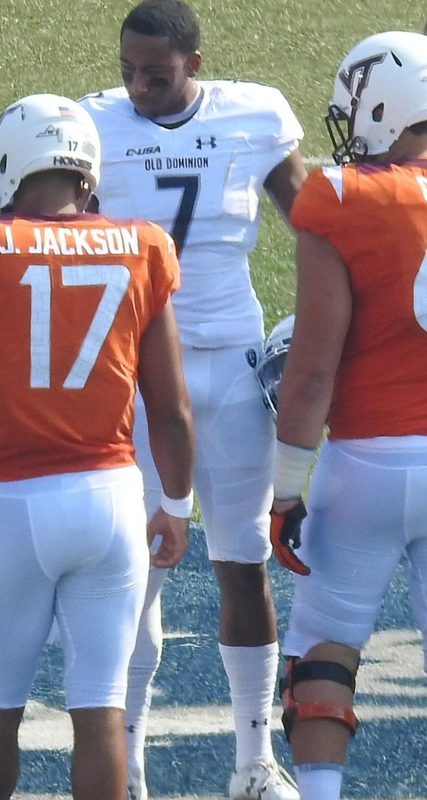 Travis Fulgham in the NFL