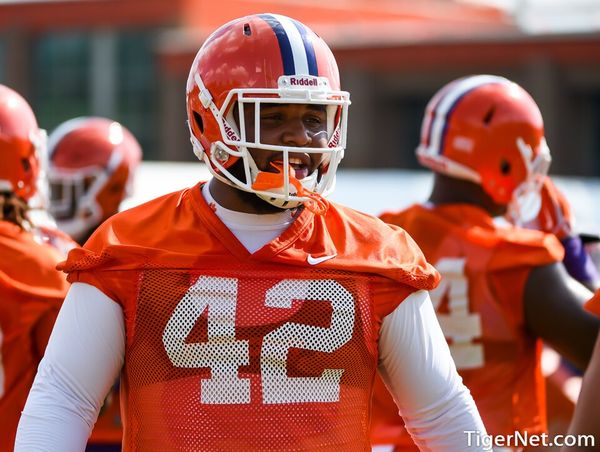 Christian Wilkins in the NFL