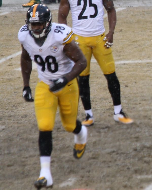Vince Williams with the Pittsburgh Steelers, 2013
