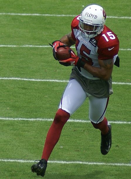 Michael Floyd in the NFL
