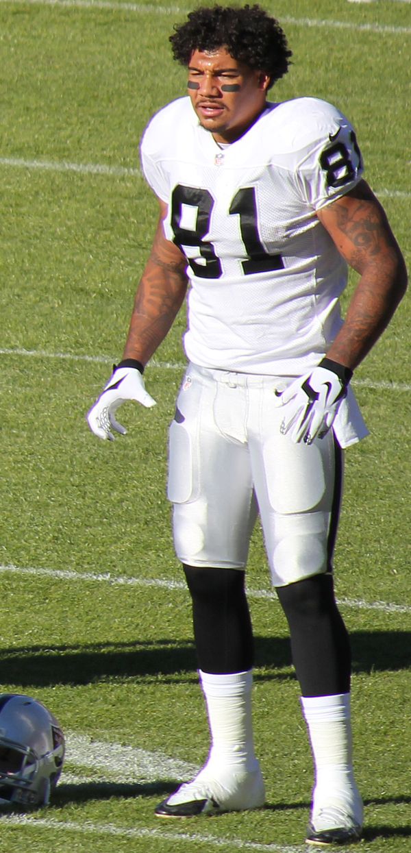 Mychal Rivera in the NFL