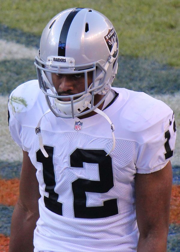 Brice Butler in the NFL
