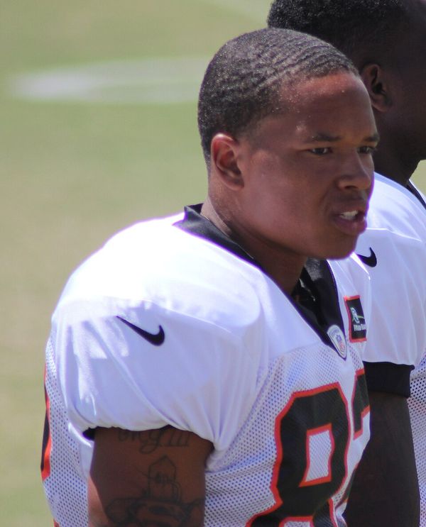 Marvin Jones in the NFL