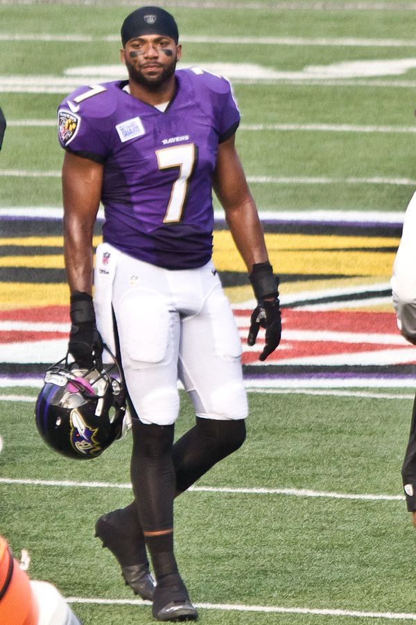 Gerrard Sheppard, 2013