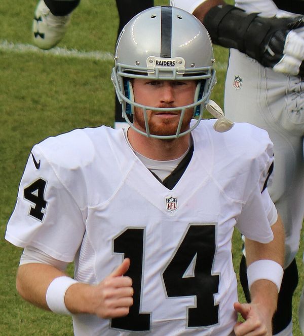 Matt McGloin, 2016