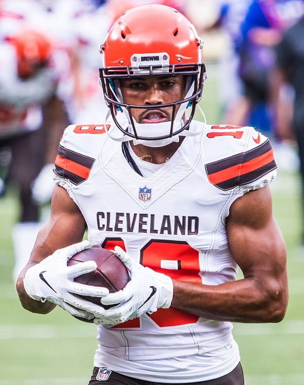 Damion Ratley in the NFL