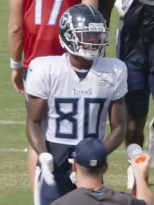 Terry Godwin in the NFL