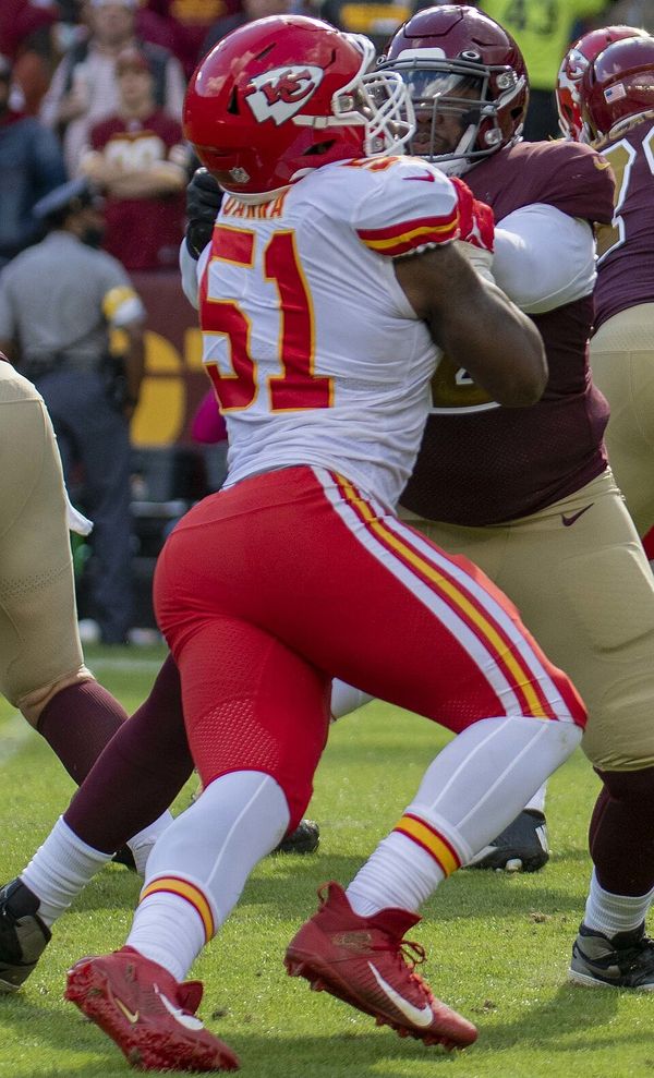 Mike Danna in the NFL