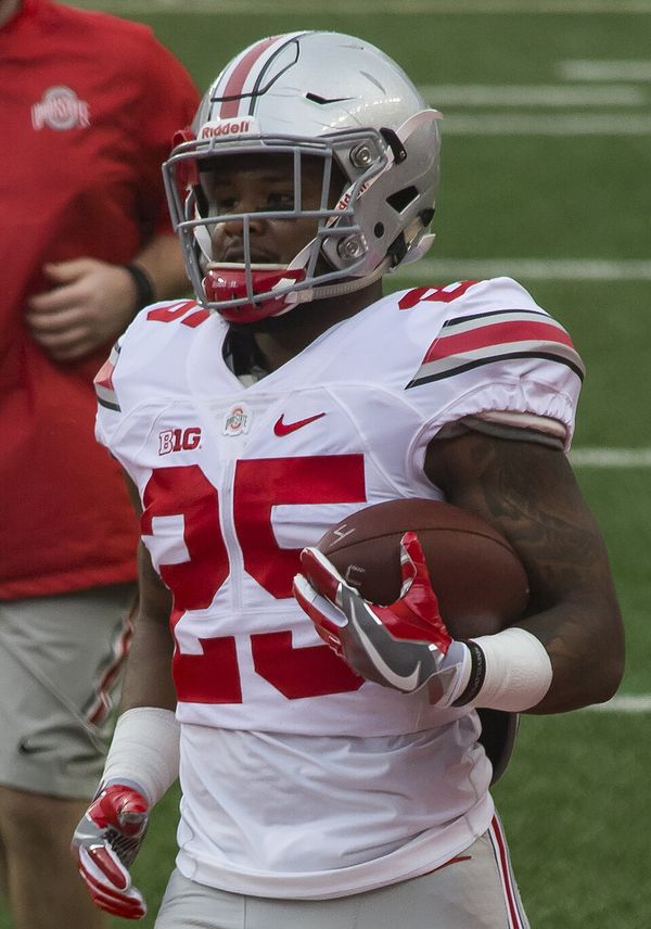 Mike Weber in the NFL