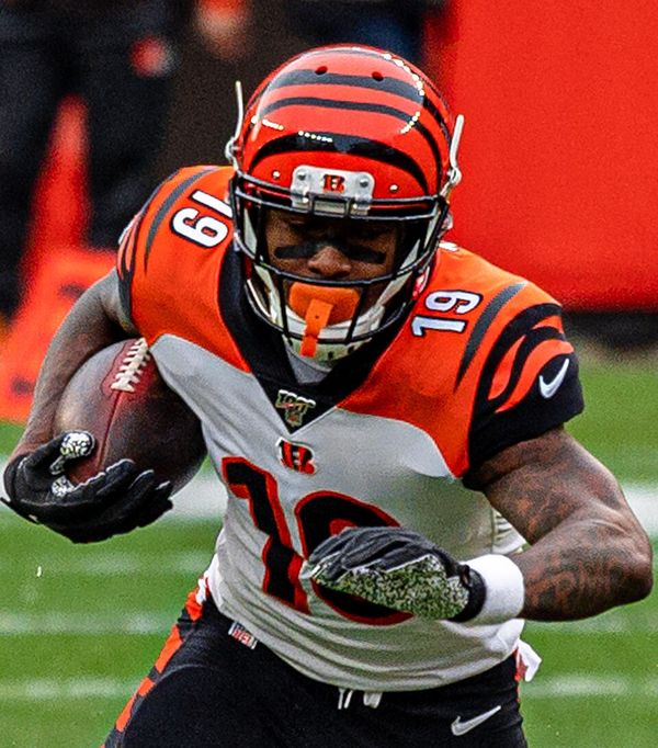 Auden Tate in the NFL