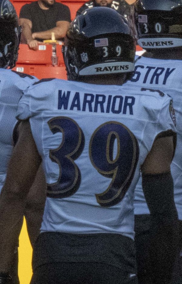 Nigel Warrior