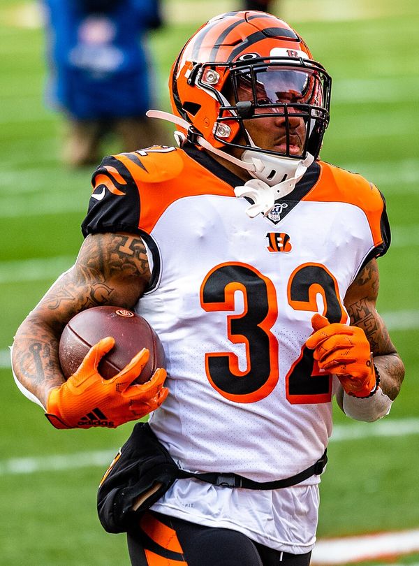 Trayveon Williams in the NFL
