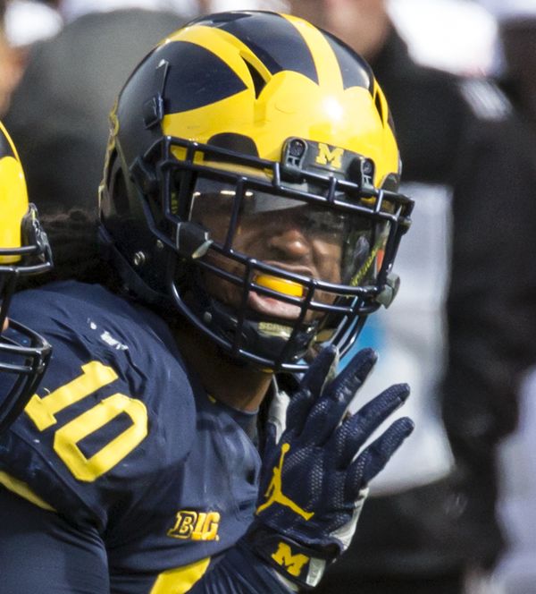 Devin Bush in the NFL