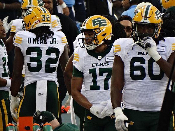 Dillon Mitchell in the NFL, 2024
