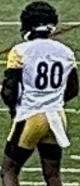 Darnell Washington with the Pittsburgh Steelers, 2024