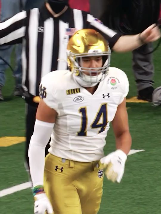 Kyle Hamilton in the NFL