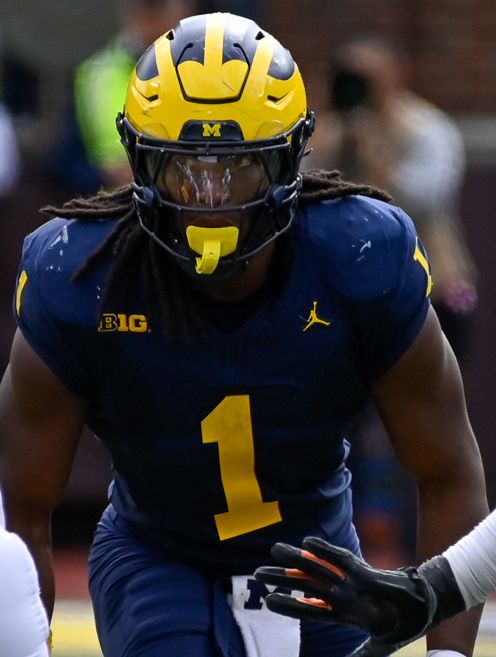 Jaishawn Barham in the NFL